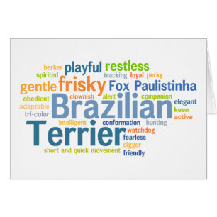 Brazilian Terrier