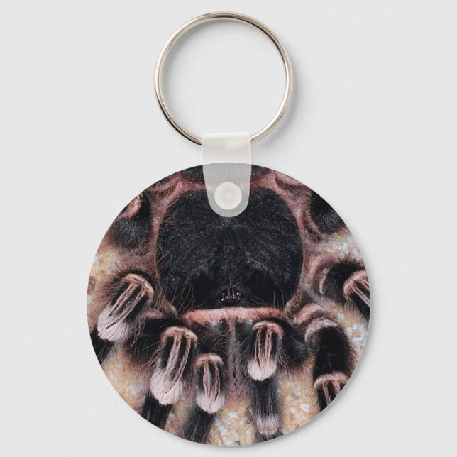 Brazilian White Knee Tarantula Key Ring (Front)