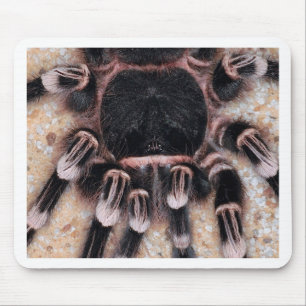 Brazilian White Knee Tarantula Mouse Pad