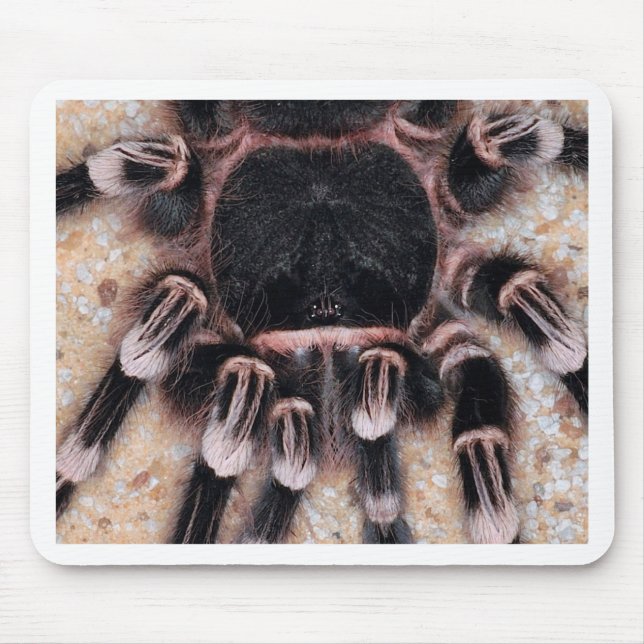 Brazilian White Knee Tarantula Mouse Pad (Front)