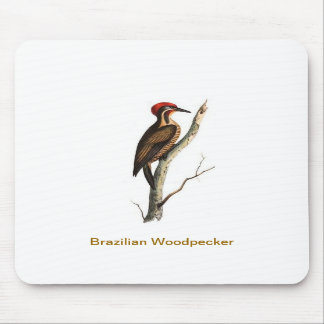 Brazilian Woodpecker bird Mousepad