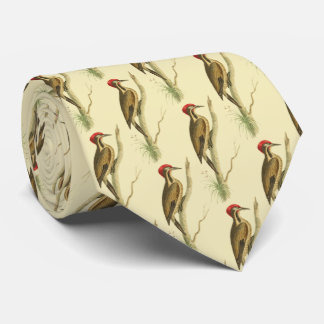 Brazillian Woodpecker Tie