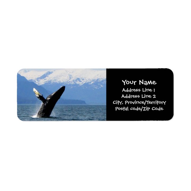 Breaching Humpback Return Address Label (Front)