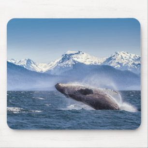 Breaching Humpback Whale In Alaska Mouse Pad
