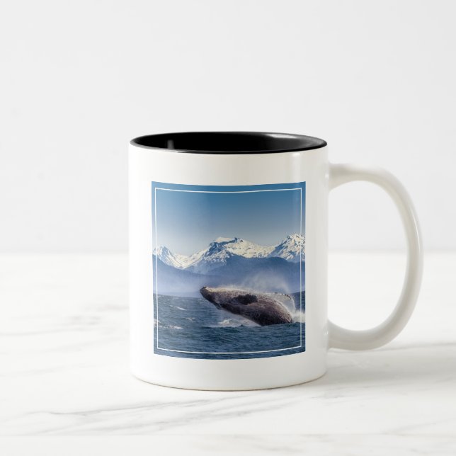 Breaching Humpback Whale In Alaska Two-Tone Coffee Mug (Right)