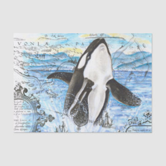Breaching Orca Ancient Map Tissue Paper