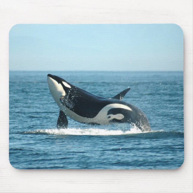 Breaching Whale Mousepad (Front)