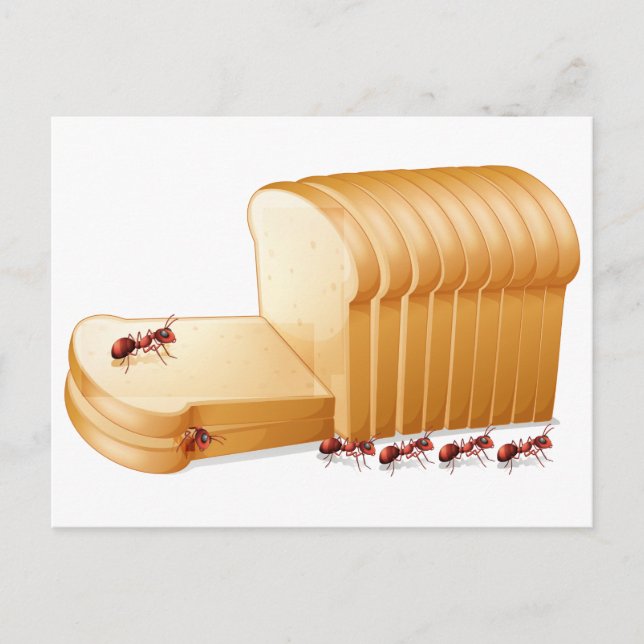 Bread and ants postcard (Front)