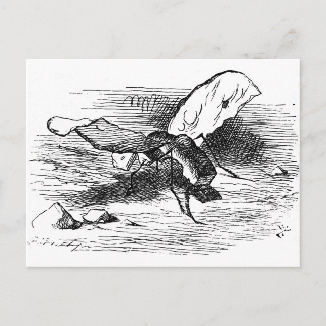 Bread-and-Butterfly Postcard (Front)