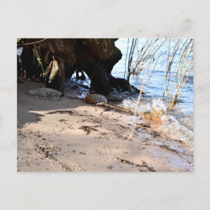 Breakers , Beachlife Postcard