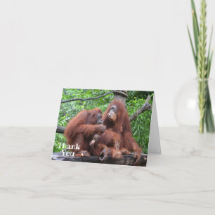 Breakfast with the Orangutans Funny Thank You Card