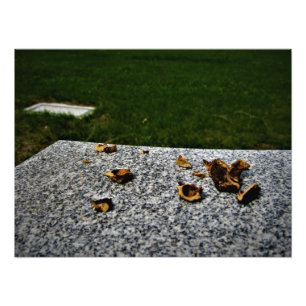 "Breaking the Mortal Coil" Photo Print