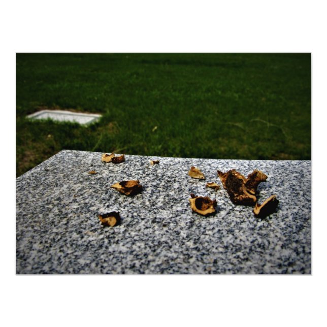 "Breaking the Mortal Coil" Photo Print (Front)