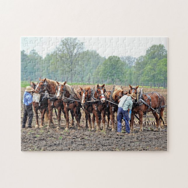 Breaktime Jigsaw Puzzle (Horizontal)