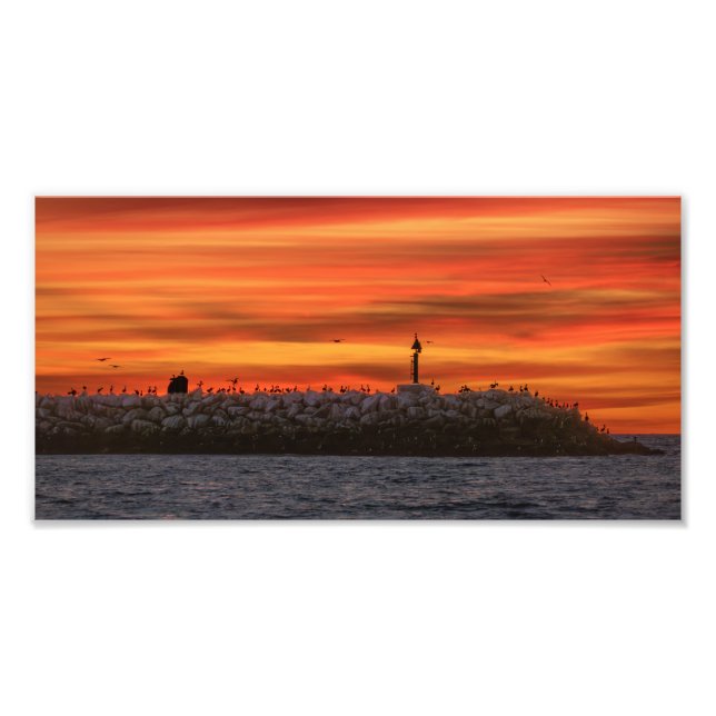 Breakwall with Pelicans - Marina Del Rey, CA Photo Print (Front)