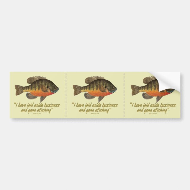 Bream Fishing Bumper Sticker (Front)