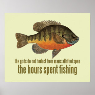 Bream Fishing Poster