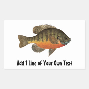 Bream Fishing Rectangular Sticker