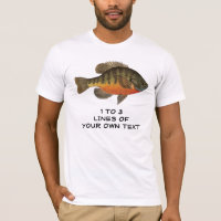 Bream Fishing