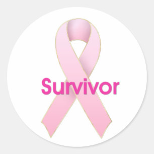 Breast Cancer Pink Ribbon - Survivor Stickers