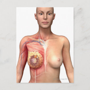 Breast cancer postcard