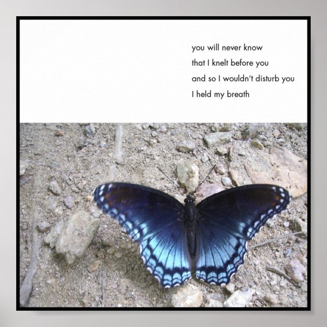 Breath - Poster from the 6x6 series (Front)