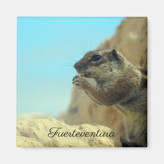 breath squirrel magnet