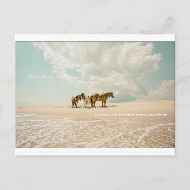 Breathing Dreams Like Air postcard (Front)