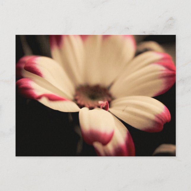 Breathless Postcard (Front)