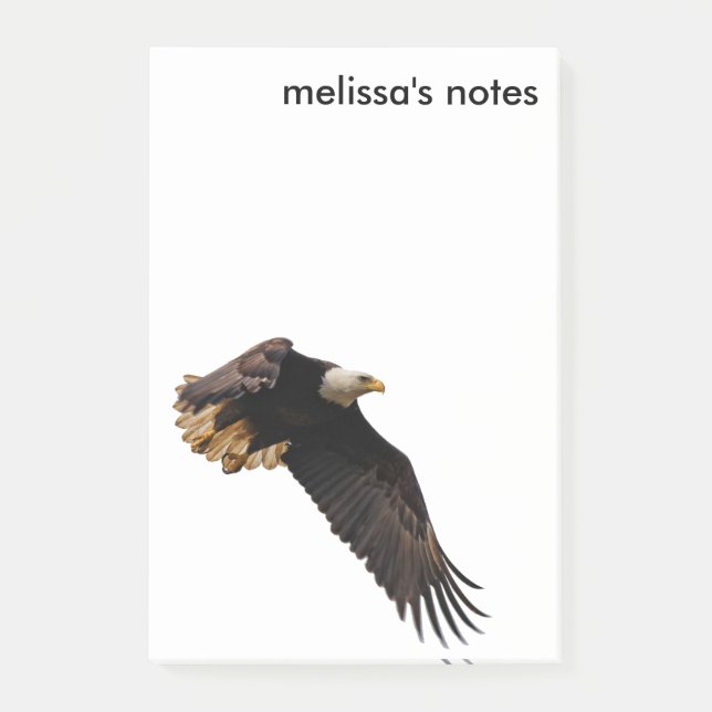 Breathtaking Bald Eagle in Flight Post-it Notes (Front)