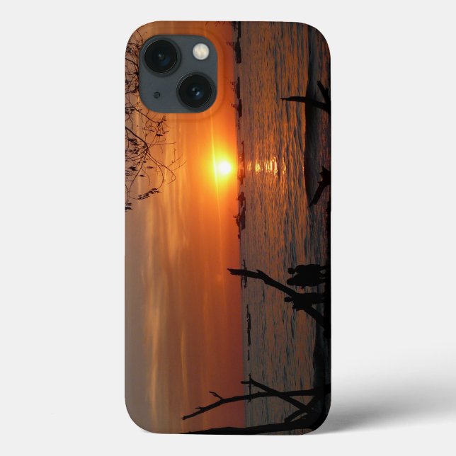 Breathtaking Tamarindo Sunset Case-Mate iPhone Case (Back)