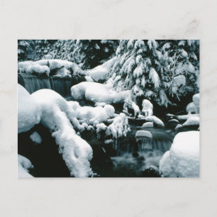 Breathtaking Winter Scene Postcard