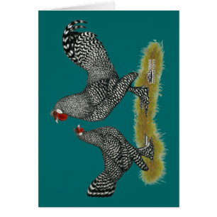 Breda Chickens Cuckoo