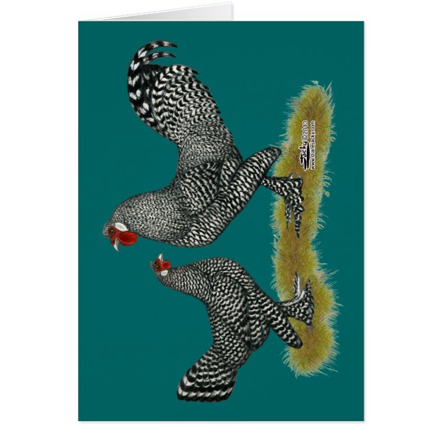 Breda Chickens Cuckoo (Front)