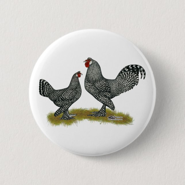 Breda Chickens Cuckoo 6 Cm Round Badge (Front)