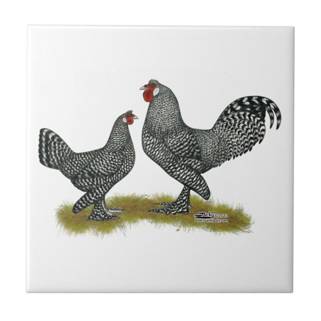 Breda Chickens Cuckoo Tile (Front)