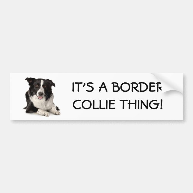 Breed-Border-Collie, IT'S A BORDER COLLIE THING! Bumper Sticker (Front)