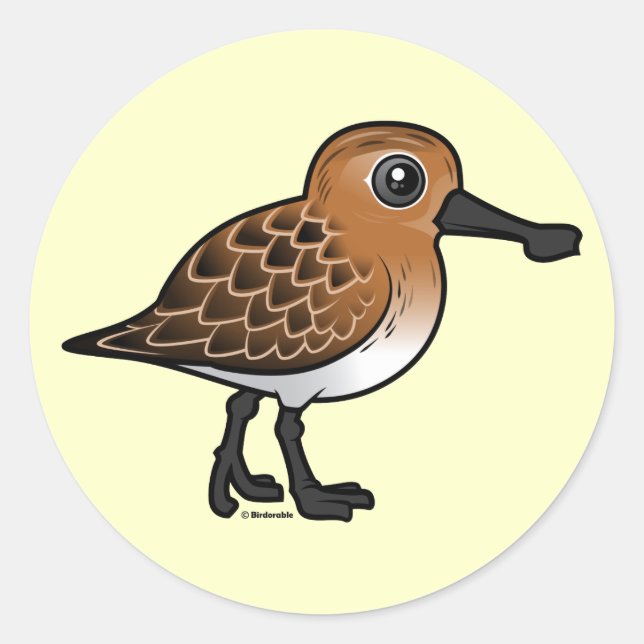 Breeding Spoon-billed Sandpiper Classic Round Sticker (Front)