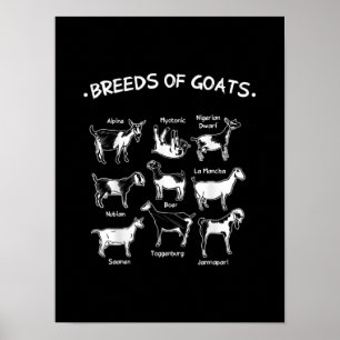 Breeds Of Goats Farmer Goat Gift Poster