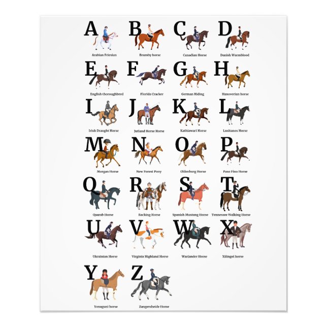 Breeds Of Horse Alphabetically Photo Print (Front)