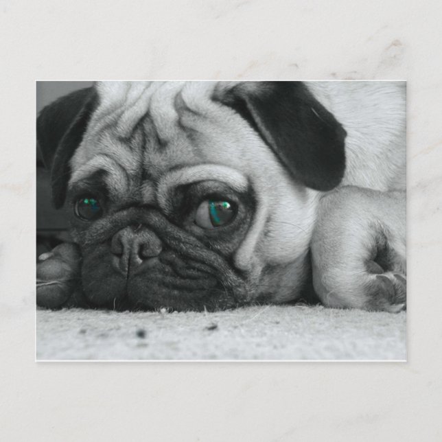 breena pic postcard (Front)