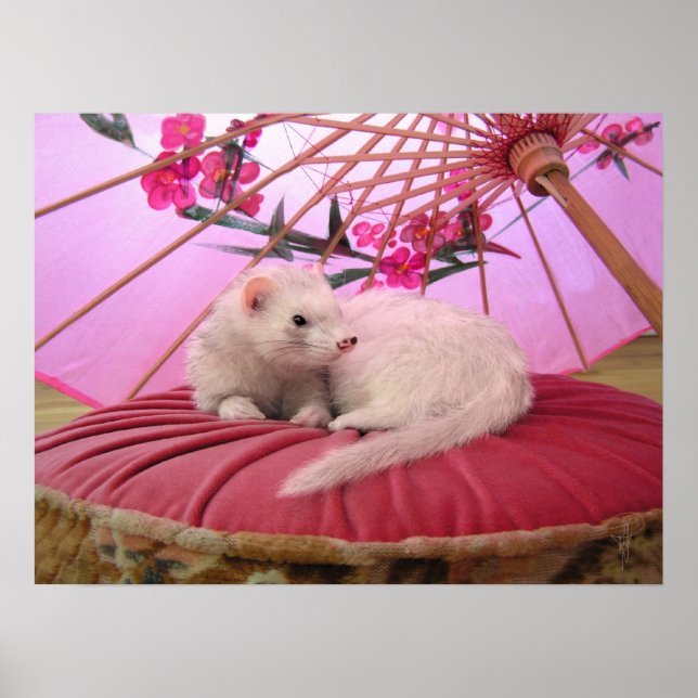 Breeze Of Japan Poster (Front)