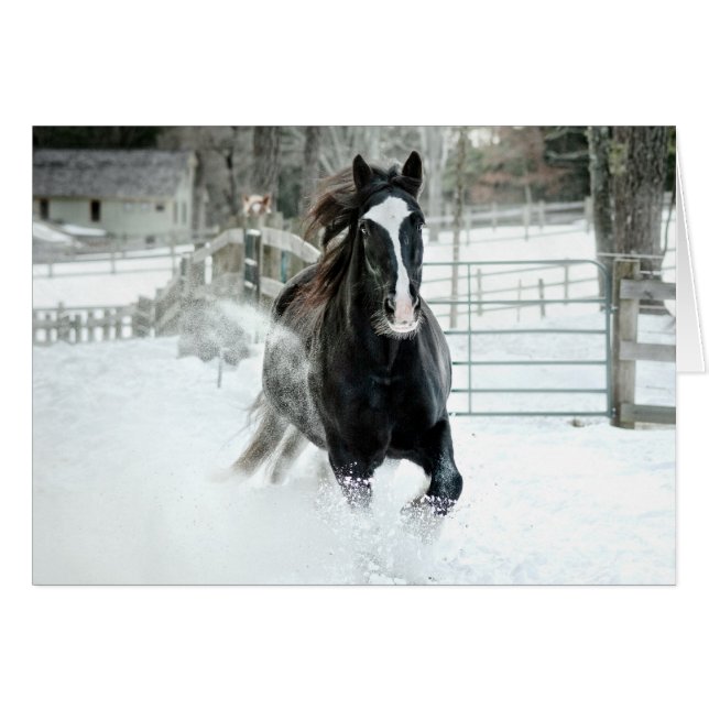 Brenda Lee Running Winter (Front Horizontal)