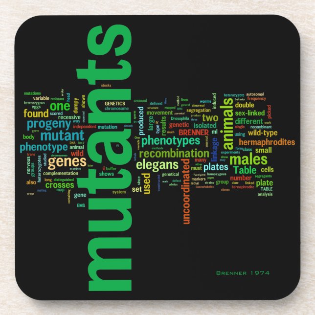 brenner74c coaster (Front)