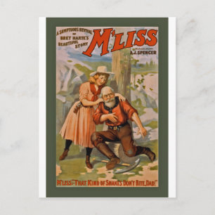 Bret Harte's Beautiful Story, M'liss 1900 Postcard