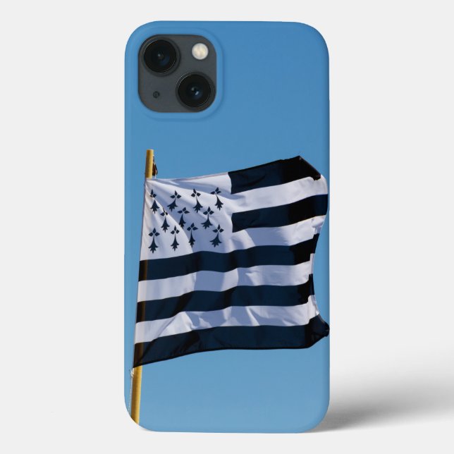 Breton flag Case-Mate iPhone case (Back)