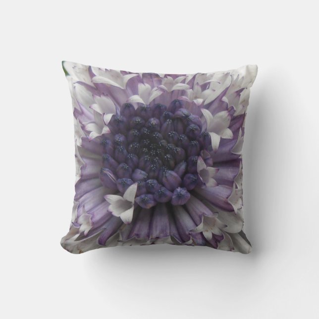 Brett Cushion (Front)