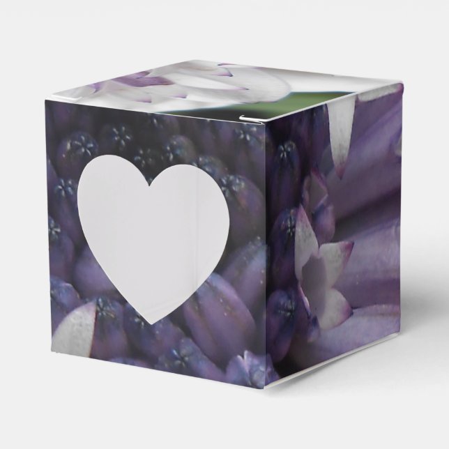 Brett Favour Box (Front Side)