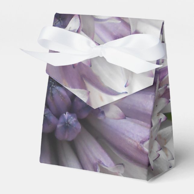 Brett Favour Box (Front Side)