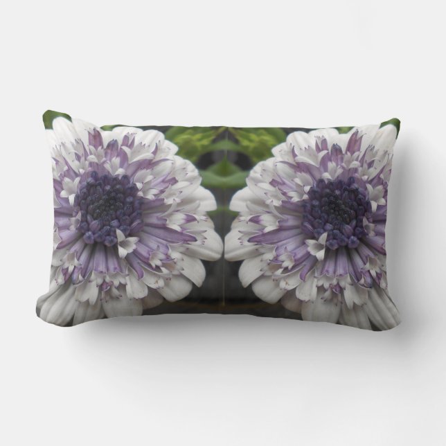 Brett Lumbar Cushion (Front)